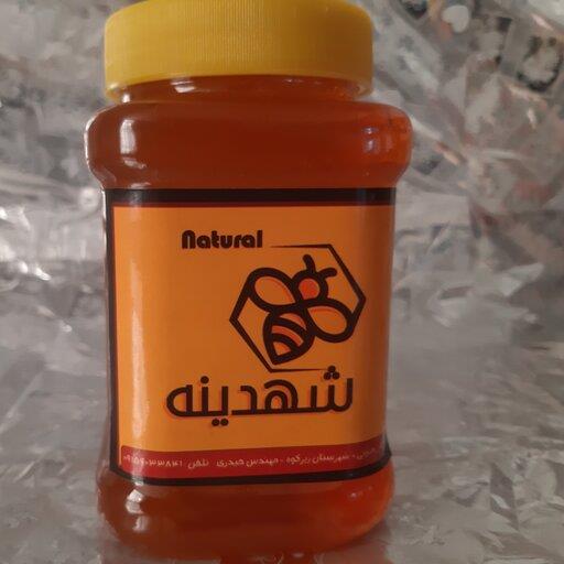 عسل طبیعی و ارگانیک کوهستان (قنقال) 1 کیلویی (مستقیم از زنبوردار)